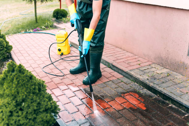 Best Graffiti Removal  in Bushnell, FL