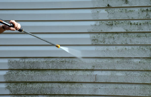 Professional Pressure Washing in Bushnell, FL
